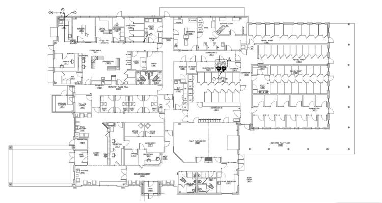 2020 N Kelly  |  Pampered Pets  |  Animal Spa  |  Edmond
