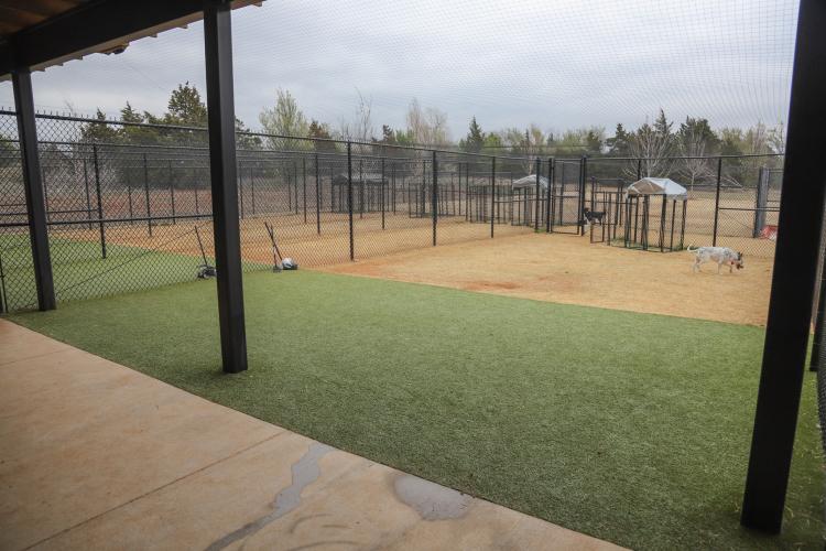 2020 N Kelly  |  Pampered Pets  |  Animal Spa  |  Edmond
