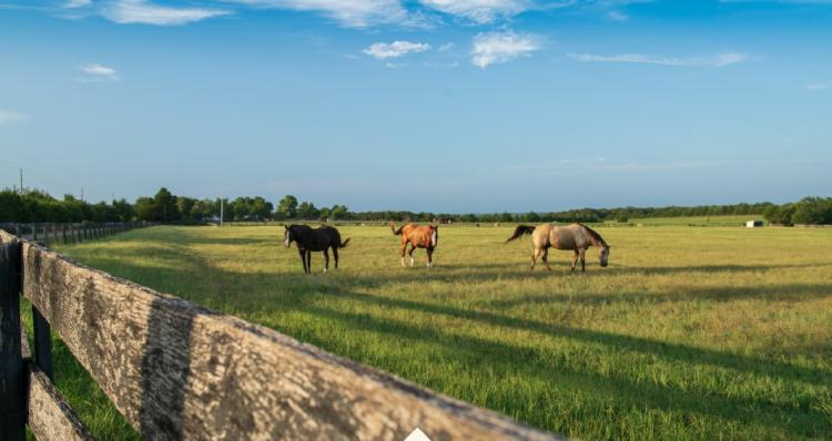 Arcadia Development Land | 220 Acres for sale, Arcadia, OK